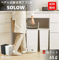 45L 2個セット キッチンゴミ箱 観音開き 45リットルサイズ ペダルオープン式 ダストボックス SOLOW 45リットル ゴミ箱 キッチンゴミ箱 抗菌 防汚静音 スリム コンパクト リス RISU 両開き 分別 SIAA 省スペース <strong>キャスター付き</strong> カウンター下 隙間 AZRSD-78