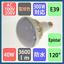 バラストレス水銀灯形 防水 LED電球 40W 3600lm 電球色 E39