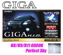 カーメイト★GIGA GF1160フォグランプ用HIDコンバージョンキット 6000Kパーフェクトスカイ H8/H9/H11