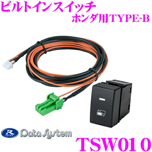 f[^VXe TSW010 rgCXCb` z_p TYPE-B  TV KIT(ؑւ^Cv)ɑΉ 