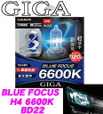 【本商品エントリーでポイント6倍!】カーメイト GIGA B...