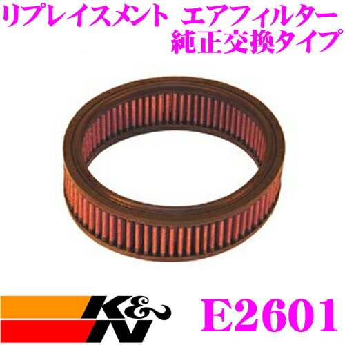 K&N 純正交換フィルター E-2601 ローバー ミニ用 リプレイスメント ビルトインエアフィルター