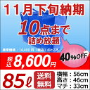 先着300名限定【楽天ラッキーシール 付き】楽天・出店6年目の経験と実績店!30年11月下旬にお届けいたします。【青10点・10月下旬納期】「せんたくパック10(85リットル)」往復 送料無 保管サービス 保管10点まで詰め放題!