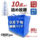 【500円割引クーポン配布中】 宅配クリーニング 【9月下旬(納期)青10・ハンガー】 保管あり 10点まで詰め放題 入れ放題 送料無料 クレス 宅配 クリーニング タイムセール 半額 以下 高評価