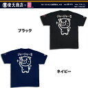 AKB48ver MIX-T ジャージャー　半袖Tシャツ　豊天商店×AKB48コラボレーションAKB48ver.MIX-Tオリジナル缶バッチが付いてくる!!