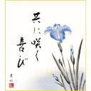 色紙絵 四季の名花【武者小路実篤】菖蒲 葉水画 k1-16b 実篤名句選【代引き不可】