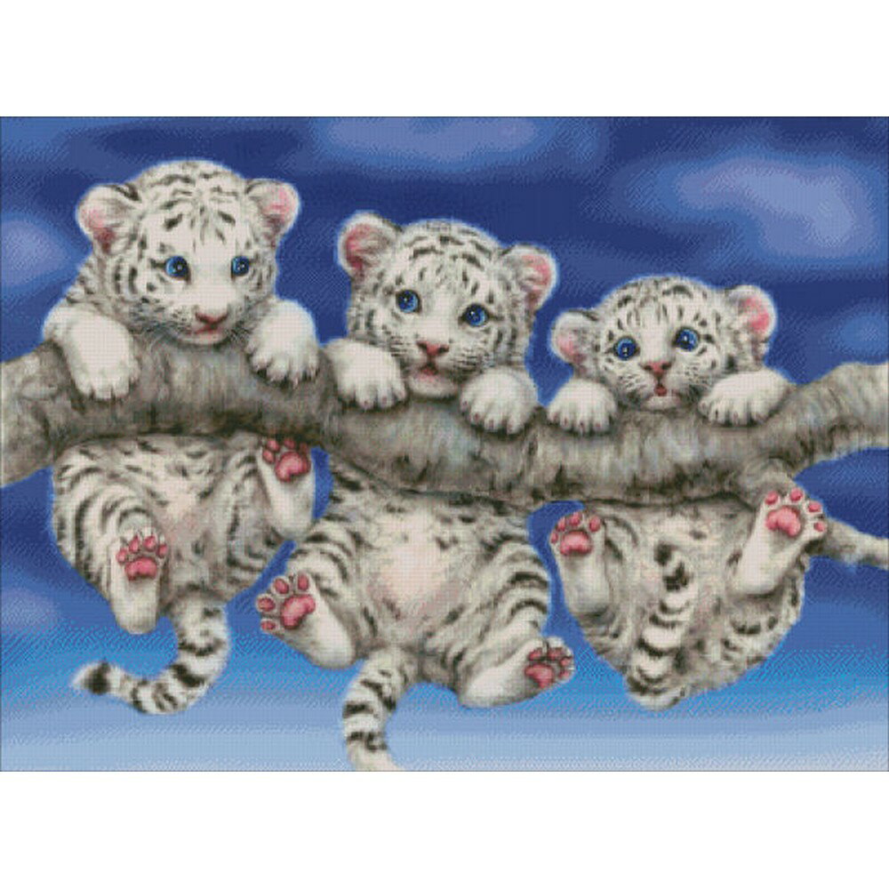 yNXXeb` hJ gzNXXeb`hJLbg@NXXeb`Lbg@CO@Heaven And Earth Designs(HAED) - White Tiger Triplets