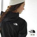 2017春夏新作 THE NORTH FACE ザ ノースフェイス Swallowtail Hoodie スワローテイル フーディー ナイロンジャケット パーカー パッカブル・NPW21620 【送料無料】 #0410