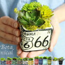 ボタニカルSS アレンジ 豊富なカラー!選べる3パターン12種類♪多肉植物 エアープランツ 造花 グリーン 手入れ不要で一生持つ♪のアーティフィシャルフラワー 癒しのインテリア エケベリア グリーンネックレス ティランジア
