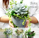 枯れない観葉植物 あす楽OK 写真印刷無料 送料無料 ボタニカルS アレンジ 多肉植物 エアープランツ 造花 グリーン 手入れ不要で一生持つ♪アーティフィシャルフラワー 癒しのインテリア エケベリア グリーンネックレス ティランジア
