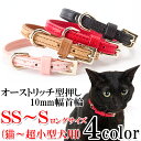 猫の首輪 犬首輪 猫、超小型犬用オーストリッチ型押しレザー首輪10mm幅【楽ギフ_包装】ねこ くびわ