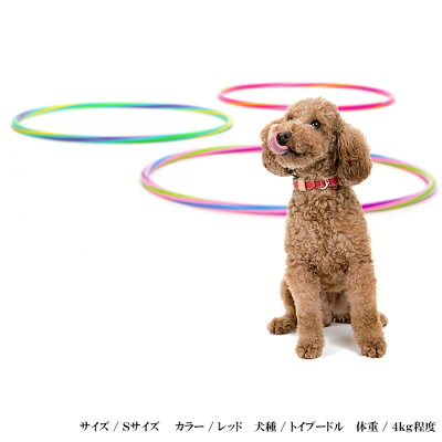 犬首輪おしゃれ革かわいい中型犬名入れ犬首輪犬の首輪いぬくびわレザー迷子札メール便送料無料シンプルベーシック首輪 楽ギフ 包装 Samurai Buyer提供購買日本購物網站商品的服務 擁有海外特派員 日本留學生也能快速安全地收到商品