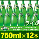 ・【送料無料】PERRIER ペリエ ライム 750ml×12本 炭酸水/スパークリングミネラルウォーター/発泡水 ボトル(瓶)入り【ラッピング・同梱不可商品】【北海道・沖縄・一部地域は別途送料がかかります】【円高還元】