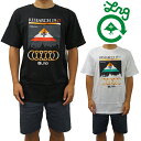 ポイント5倍UP LRG エルアールジー F161617 S/S TEE Tシャツ メンズ ストリート スケート