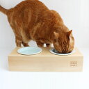食器台 猫 まんま台 hole ダブル 磁器 日本製