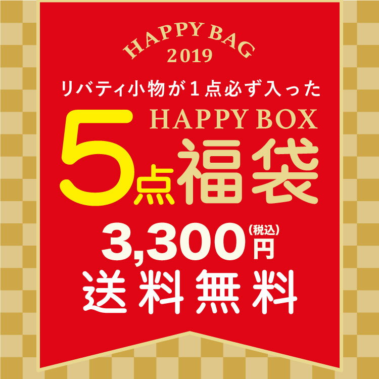 【1月4日より順次発送】送料無料 2019年 福袋 HAPPY BOX / 5点セット 大人かわいい ポーチ ・ がま口ポーチ ・ ステーショナリー などが入った お得な福袋！ レディース