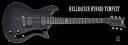 【ポイント10倍】【お取り寄せ品】SCHECTER AD-TP-HR-HB TBB Hellraiser Hybrid TEMPEST / シェクター AD TP HR HB ヘルレイザー・ハイブリッド (送料無料・ギグケース付)