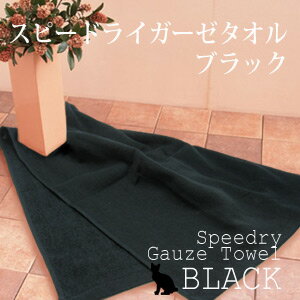 K[[^I@^I@tFCX^I ^I @nk΍@hЃObY@hЃZbgspeedryiXs[hCjK[[^Ii^IEtFCX^Ij{@K[[^I@^I@tFCX^I ^I  nk΍@hЃObY@hЃZbg