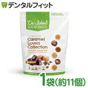 Dr.John's キャラメル(4種) 1袋(約11個入) ソフトキャンディ ドクタージョンズ キシリトール 天然素材