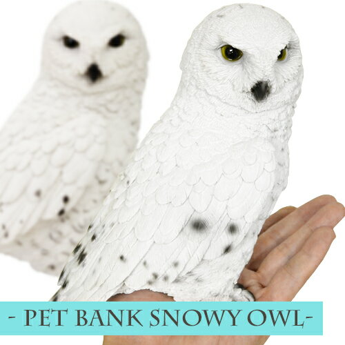 ybgoN VtNE / PET BANK SNOWY OWL [tNEu  tNE ӂ낤 IE tNEG ӂ낤ObY IuWF u  킢] yyΉz