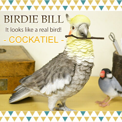 BIRDIE BILL オカメインコ / バーディビル COCKATIEL[置物 オブジェ 雑貨 小鳥 インコ リアル 動物 アニマル 鳥 バード とり かわいい] 【あす楽対応】