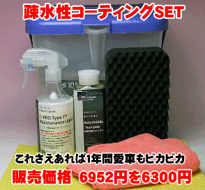 ガラス系コーティング剤TypeTP洗車セット1【送料無料】【コーティング剤 カーシャンプー 洗車 用品】auktn【FS_708-7】【RT】