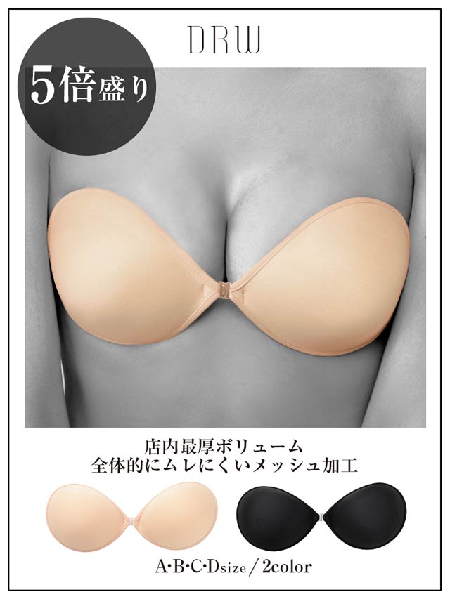 [T]VS5{pebhk[hu k[u k[ur[` ł͂܂B u WF[  uW[ |fB[X   aJbv k[hu u u pebh  x[W  ubN hX