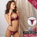ブラジャー ショーツ セット センシュアル サテン ブラジャー & バック透け Tバック ショーツ | 下着 レディース セット ランジェリー tバック ブラ セット ティーバック 下着 セクシー ランジェリー 上下セット