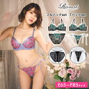 ブラジャー ショーツ クリアフラワーエンブロイダリー ブラジャー & 選べる バック透け フルバック or Tバック ショーツ
