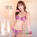 育乳ブラジャー 脇高ブラジャー ショーツ セット 補正下着 エレガント エンブロイダリー 育乳 脇高 ブラジャー & フルバック ショーツ | ブラジャー ショーツ セット 脇肉 贅肉 盛りブラ ブラ セット 下着 レディース セット