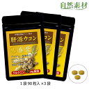 肝源ウコン (3ヶ月分) サプリメント 秋ウコン 春ウコン 黒ウコン 紫ウコン 4種のウコン配合 沖縄産 1袋90粒入3袋 メール便 送料無料 大日ヘルシーフーズ直販 3袋は5日分増量