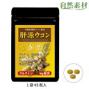 肝源ウコン ハーフサイズ (約15日分) サプリメント 秋ウコン 春ウコン 黒ウコン 紫ウコン 4種のウコン配合 沖縄産 1袋45粒入 ネコポス 大日ヘルシーフーズ直販