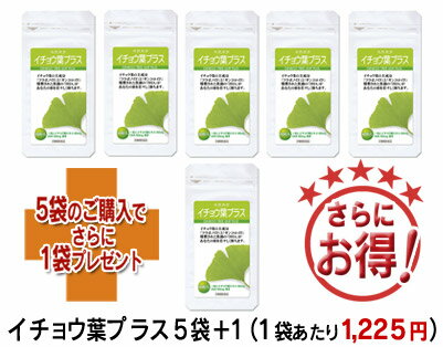 【5袋で1袋プレゼント！】　一袋たっぷり40日分だから8ヶ月分でこのお値段です！　【イチョウ葉プラス5袋＋1】DHA、大豆レシチン、ビタミンEも配合【RCPmara1207】【SBZcou1208】