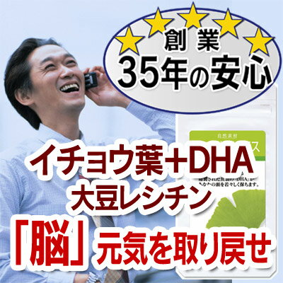 【たっぷり40日分でお得！】　イチョウ葉とDHA、大豆レシチンがすっきりはっきりをサポート！　【イチョウ葉プラス】イチョウ葉エキスが脳内をスッキリ【RCPmara1207】 【SBZcou1208】