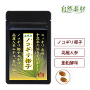 ノコギリヤシ (約1ヶ月分) 送料無料 サプリ 1袋60粒入...