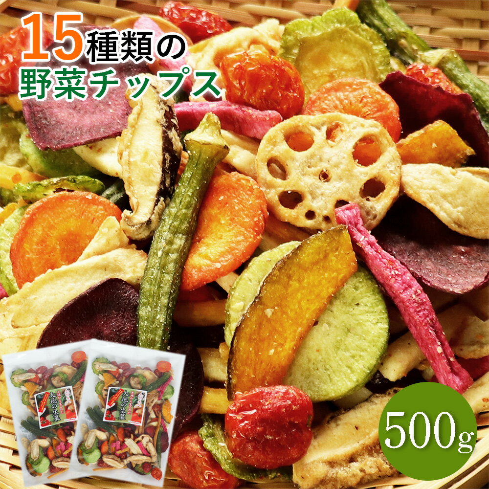 15種類の野菜チップス <strong>500</strong>g 送料無料 大容量 野菜スナック お菓子 遅れてゴメンね 母の日 ギフト プレゼント 手土産 贈り物 人気 おやつ 詰め合わせ さつまいも オクラ ドライフルーツ おつまみ <strong>ビール</strong> 酒の肴 非常食 保存食 家飲み