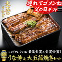 【遅れてごめんね!父の日】送料無料 国産うなぎ蒲焼 うな侍&大五蒲焼きセット | うなぎ 父の日 ギフト 鰻 ウナギ 蒲焼き 国内産 プレゼント 【父の日メッセージカード付き】