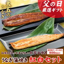 超早得500円OFFクーポン!【父の日ギフト】送料無料 紅白...