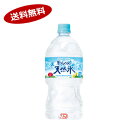 【送料無料2ケース】南アルプスの天然水 サントリー 1.0L ペット 12本入×2★北海道、沖縄のみ別途送料が必要となります