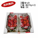 【送料無料】博多 あまおう いちご 等級DX 福岡県産 3箱セット (1箱 約270g×2)★北海道、沖縄のみ別途送料が必要となります