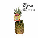 【送料無料】パイナップル フィリピン産 約5kg 約3-4玉入★一部、北海道、沖縄のみ別途送料が必要となる場合があります