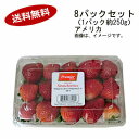 【送料無料】予約 7月上旬ー中旬以降発送予定 アメリカ苺 アメリカ産 8パックセット (1パック約250g)★一部、北海道、沖縄のみ別途送料が必要となる場合があります