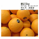 【送料無料】ネーブルオレンジ アメリカ オーストラリア 約2.5kg サイズ お任せ★一部、北海道、沖縄のみ別途送料が必要となる場合があります
