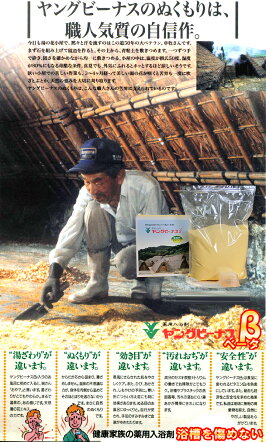 メール便だから送料無料♪