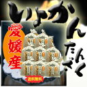 【送料無料♪】伊予柑たんざく120g×8袋愛媛県産無添加無着色【丸山食品(愛媛県)】