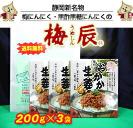 【お得3袋-メール便送料無料♪】梅辰(うめしん)の梅肉入り　おかか生姜200g×3袋