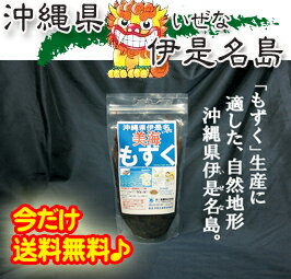 もずく【今だけお試し】【メール便で送料無料♪】伊是名島産『もずく（500g）=塩蔵=』