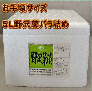 シャキシャキ野沢菜　お手頃サイズ5Lバラ詰め【信州本場】【限定品】【旨い】