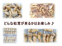 【送料無料】【訳あり】おまかせ料亭松茸1000g【
