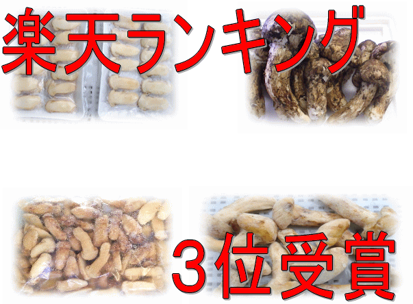 【送料無料】【訳あり】おまかせ料亭松茸1000g【バーベキュー】【キャンプ】